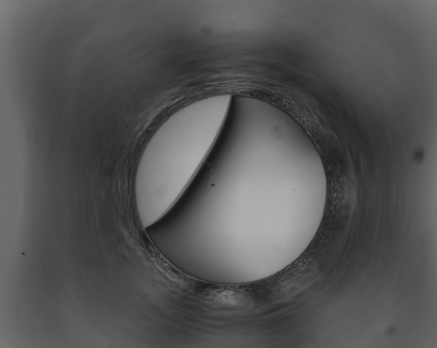X0000091710755200708240956