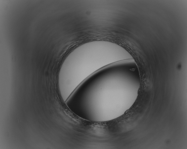 X0000091710756200708240956