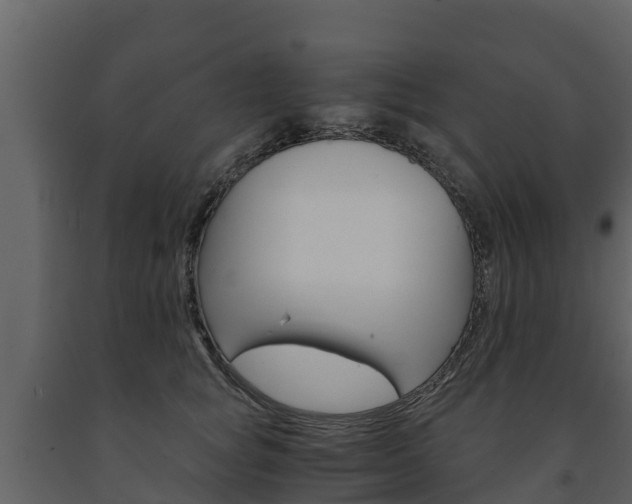 X0000091710757200708240956