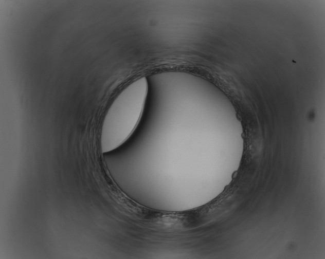 X0000091710758200708240956