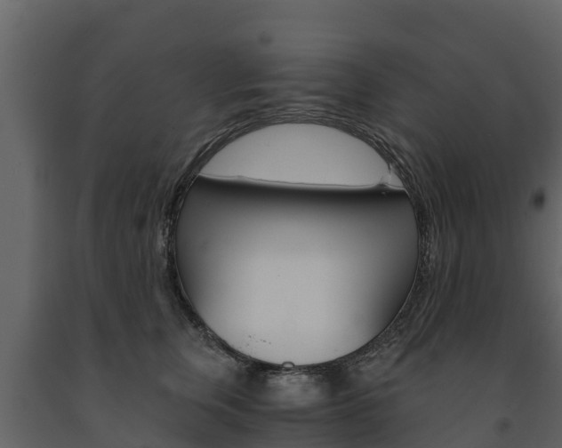 X0000091710759200708240956