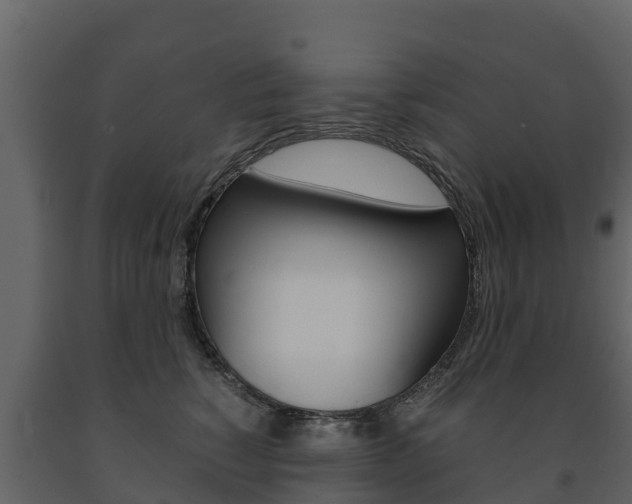 X0000091710760200708240956