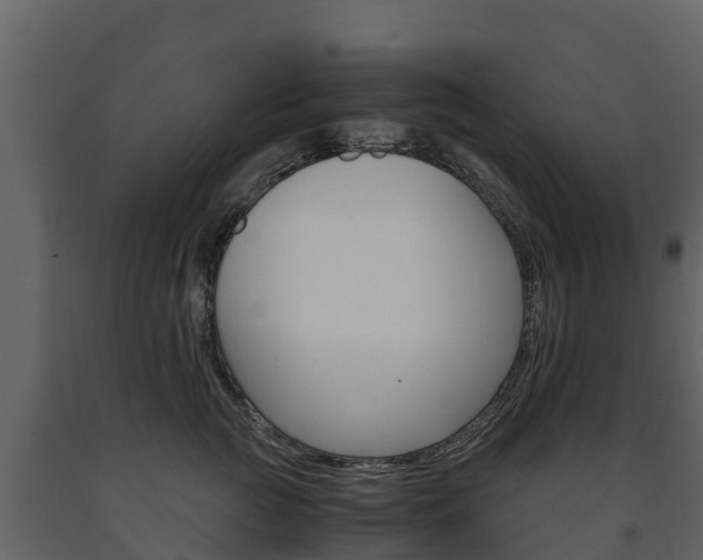 X0000091710761200708240956