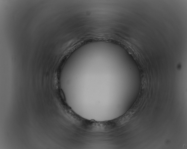 X0000091710764200708240956