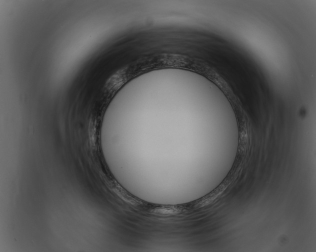 X0000091710765200708240956