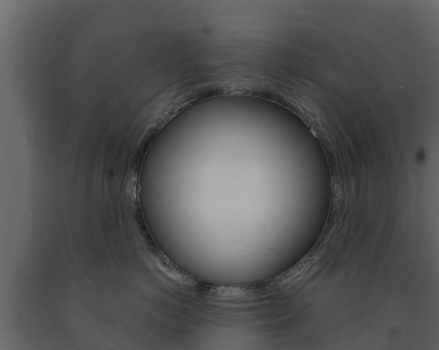 X0000091710766200708240956
