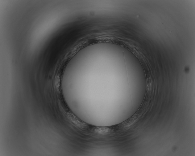 X0000091710767200708240956