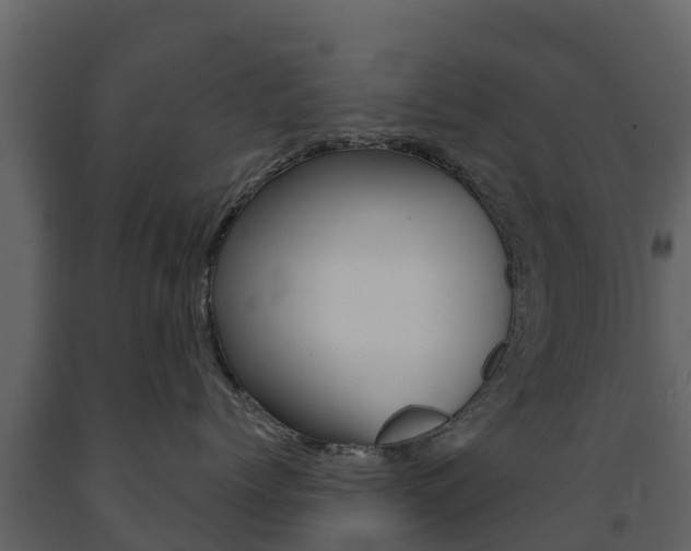 X0000091710768200708240956