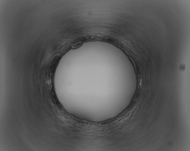 X0000091710771200708240956