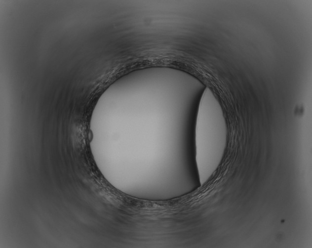 X0000091710772200708240956