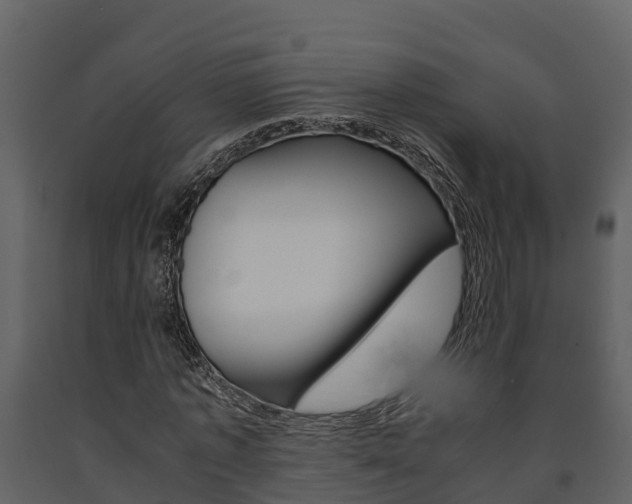 X0000091710773200708240956