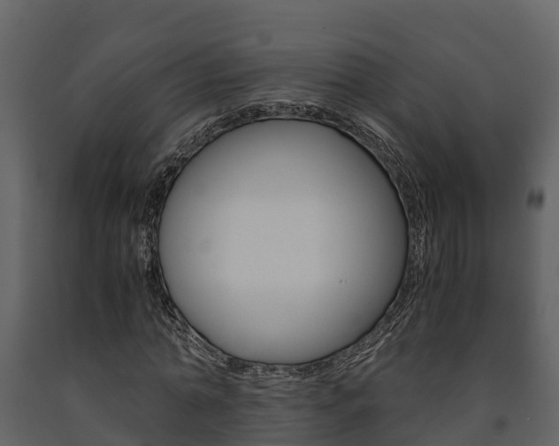 X0000091710774200708240956