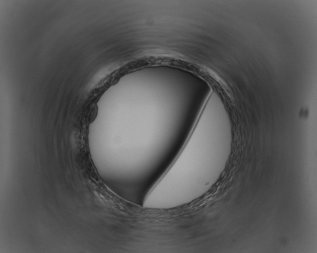 X0000091710775200708240956