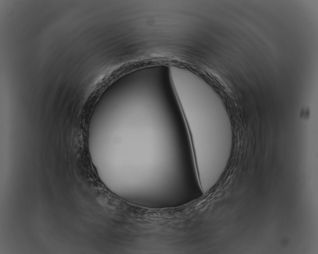 X0000091710776200708240955