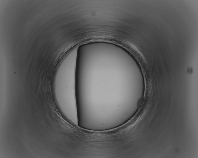X0000091710777200708240955