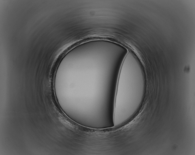 X0000091710779200708240955