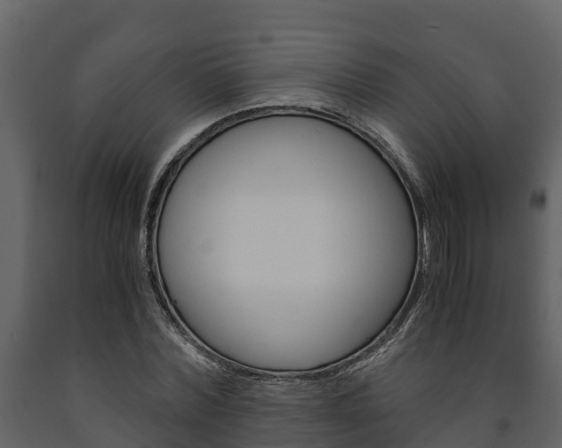 X0000091710780200708240955