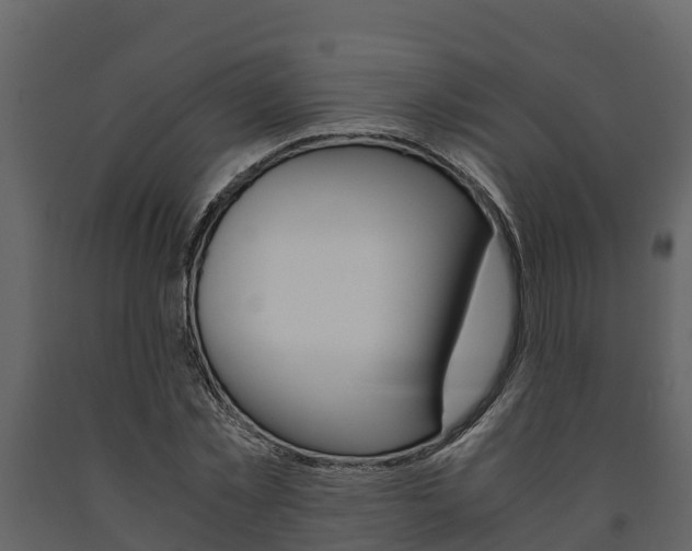 X0000091710781200708240955