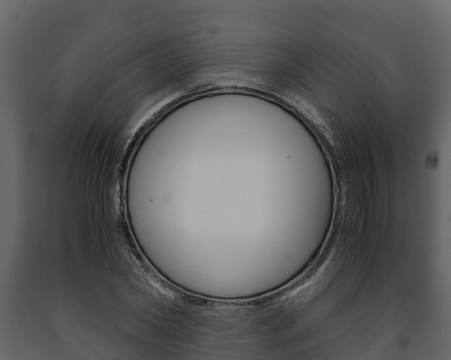 X0000091710782200708240955