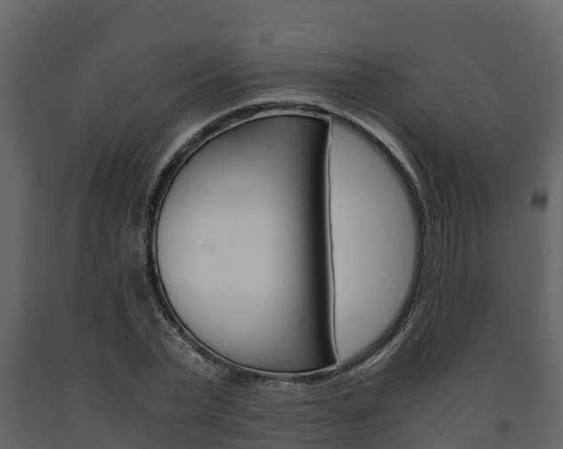 X0000091710783200708240955