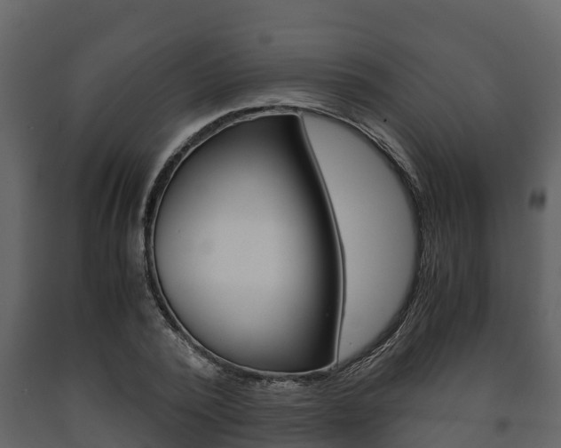 X0000091710784200708240955