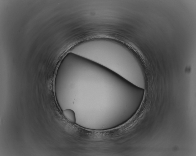 X0000091710785200708240955