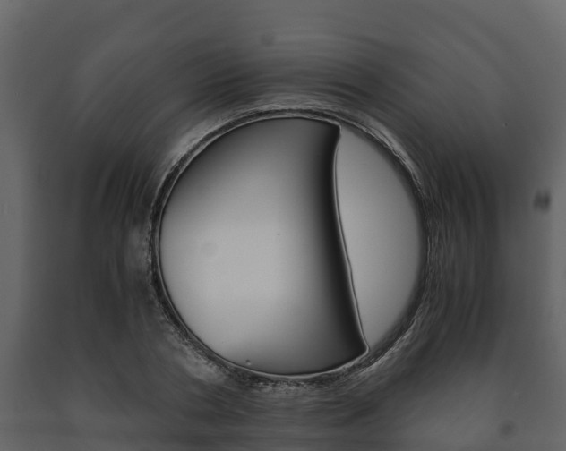 X0000091710786200708240955
