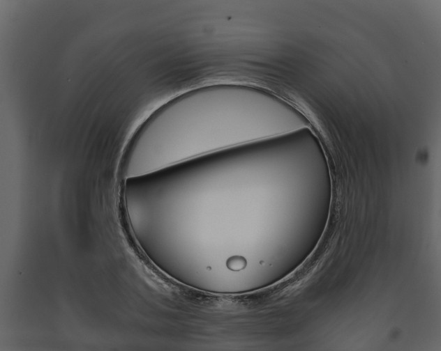 X0000091710787200708240955