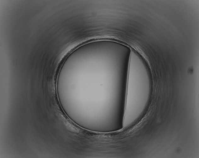 X0000091710789200708240955