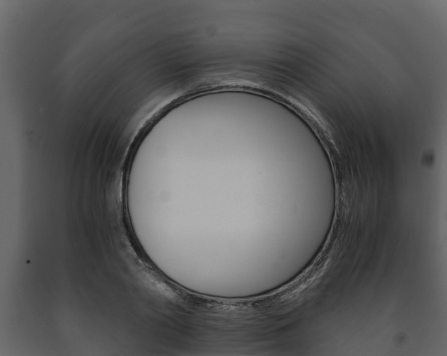 X0000091710790200708240955