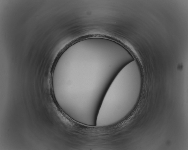 X0000091710791200708240955