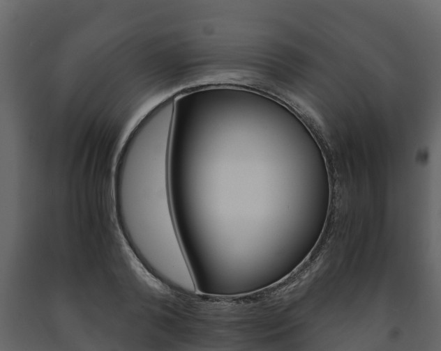 X0000091710792200708240955