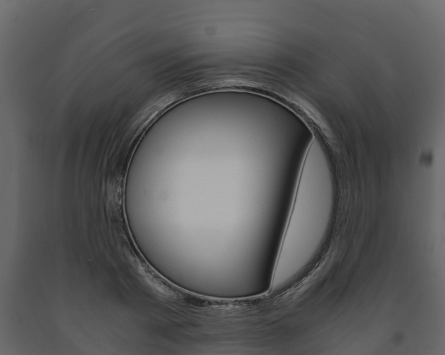 X0000091710793200708240955