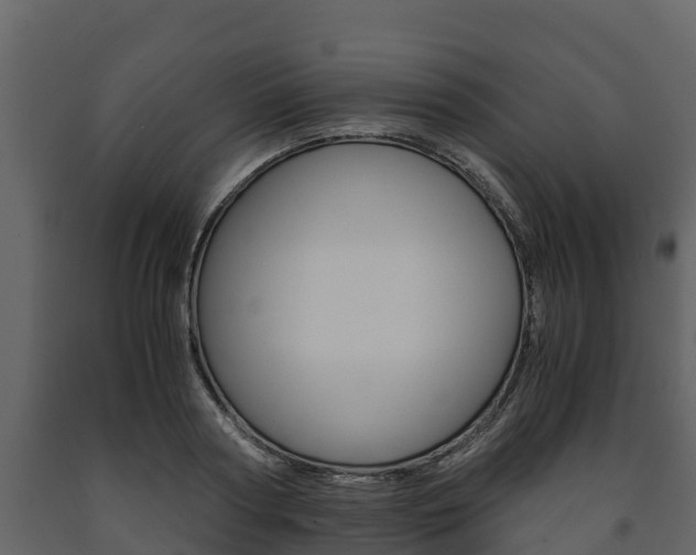 X0000091710794200708240955