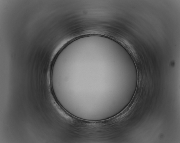 X0000091710796200708240955