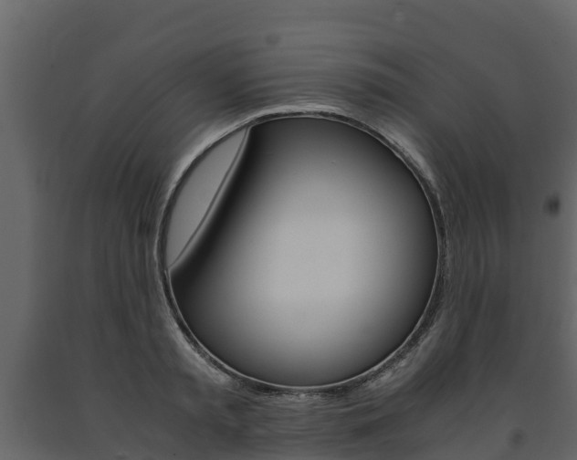 X0000091710797200708240955