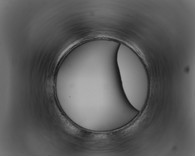 X0000091710798200708240955
