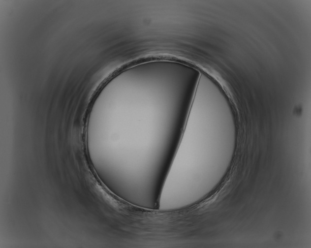 X0000091710799200708240955