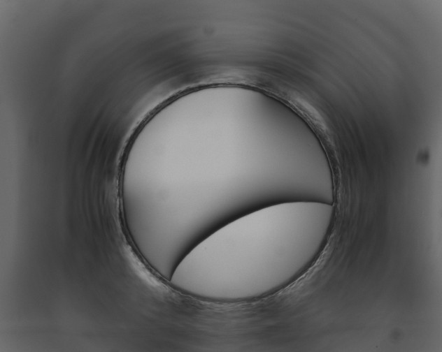 X0000091710800200708240955
