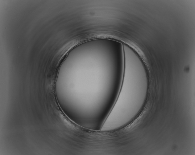 X0000091710801200708240955