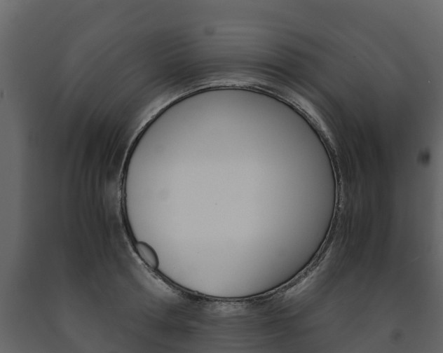 X0000091710802200708240955