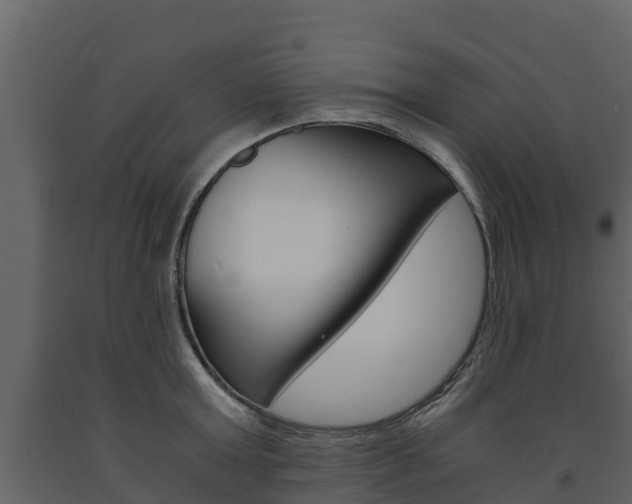 X0000091710803200708240955