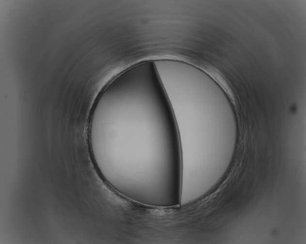 X0000091710805200708240955