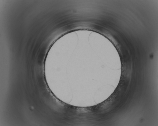 X0000091710807200708240955