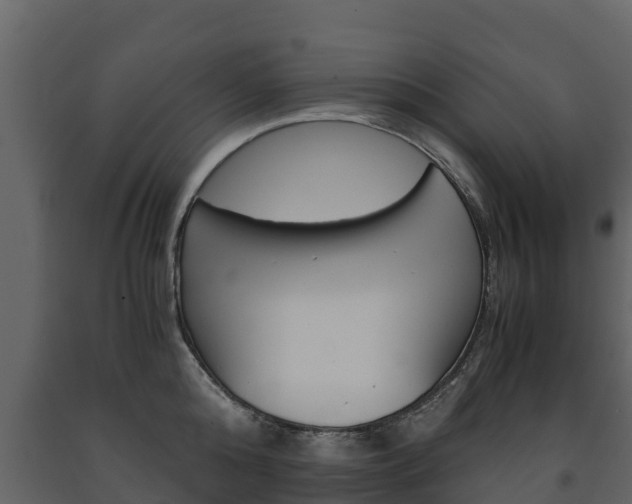 X0000091710808200708240955