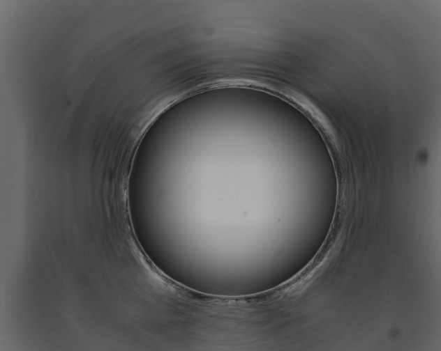 X0000091710809200708240955