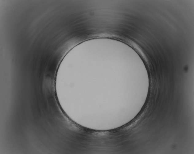 X0000091710810200708240955
