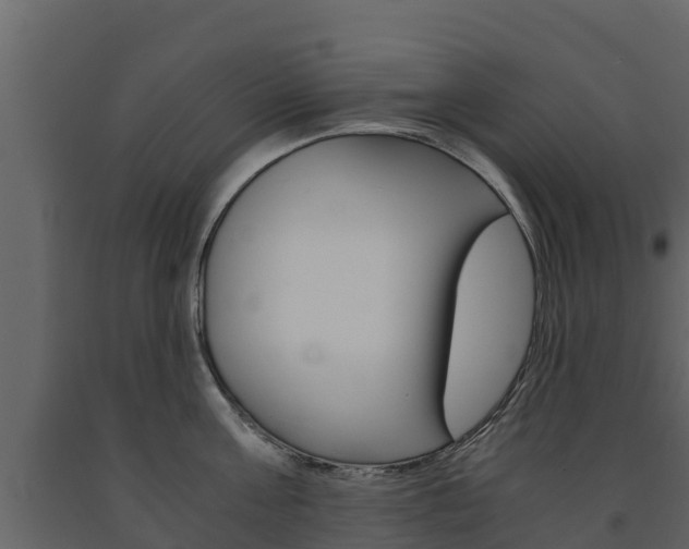 X0000091710811200708240955