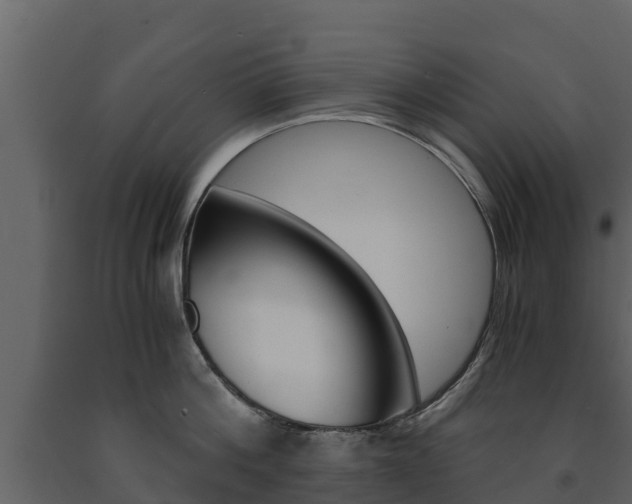 X0000091710812200708240955