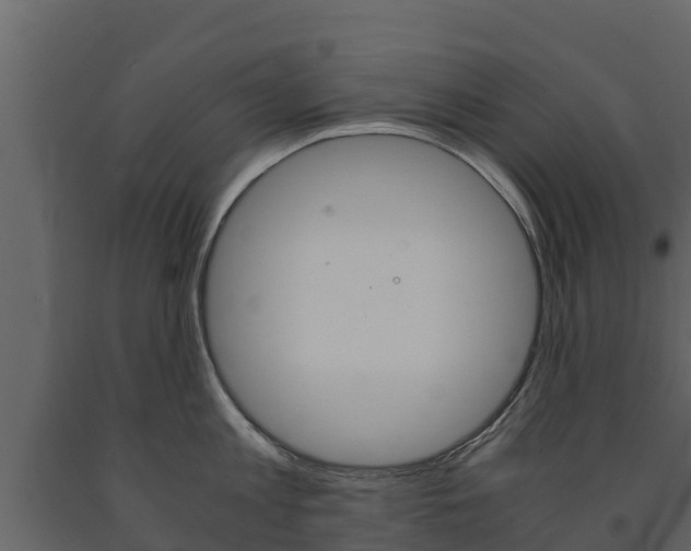 X0000091710813200708240955
